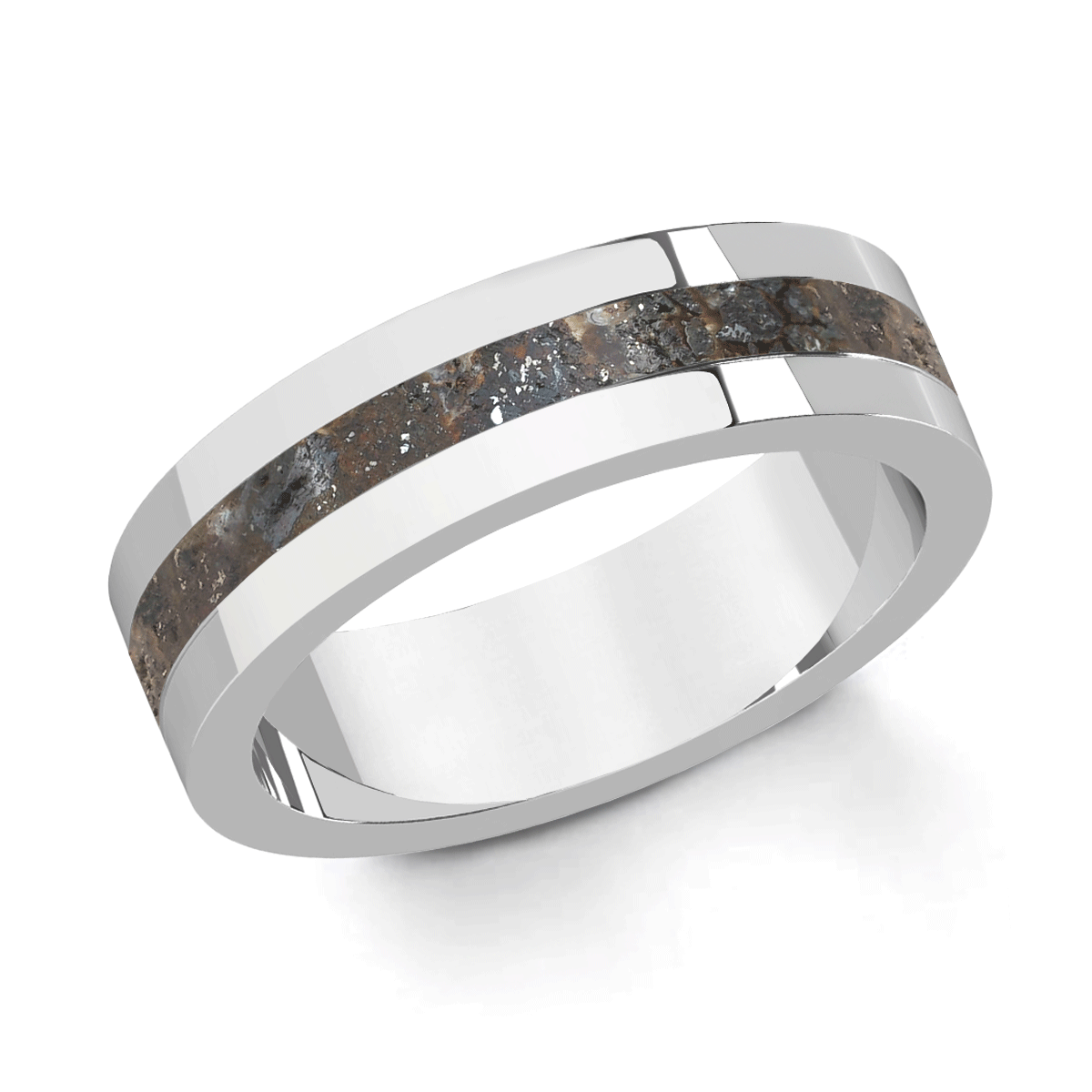 🦚 Signum – Meteorite Ring Herren Silber